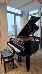 One Dusun Residences (D12), Apartment #632634251